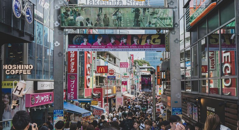 TOKIO Tradicional: Tour Privado a Pie y en Transporte Público Japón &mdash; #4