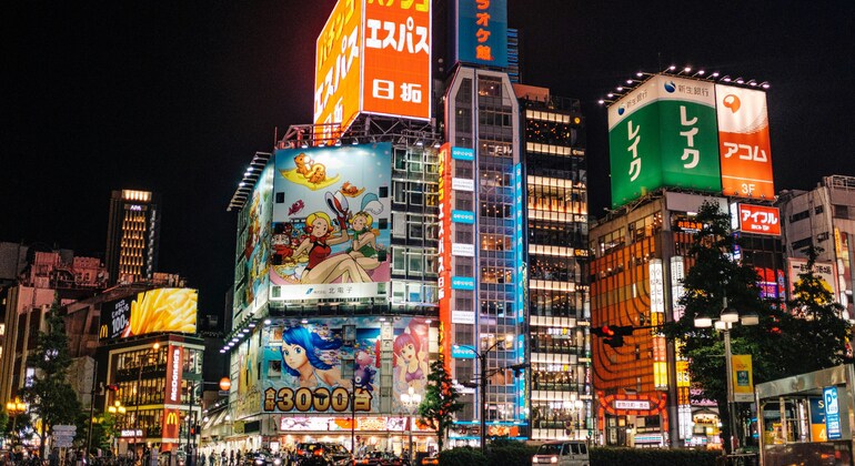 TOKIO Tradicional: Tour Privado a Pie y en Transporte Público Japón &mdash; #7