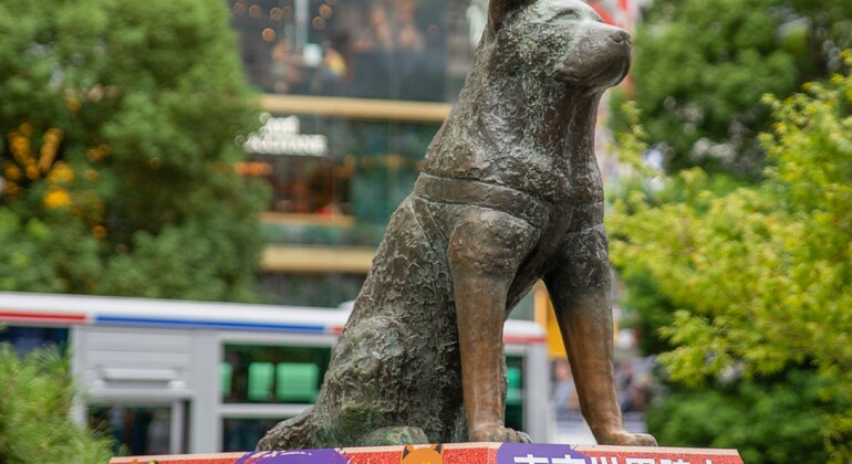 Shibuya: El Cruce Más Famoso del Mundo & sus Secretos Free Tour Japón &mdash; #2