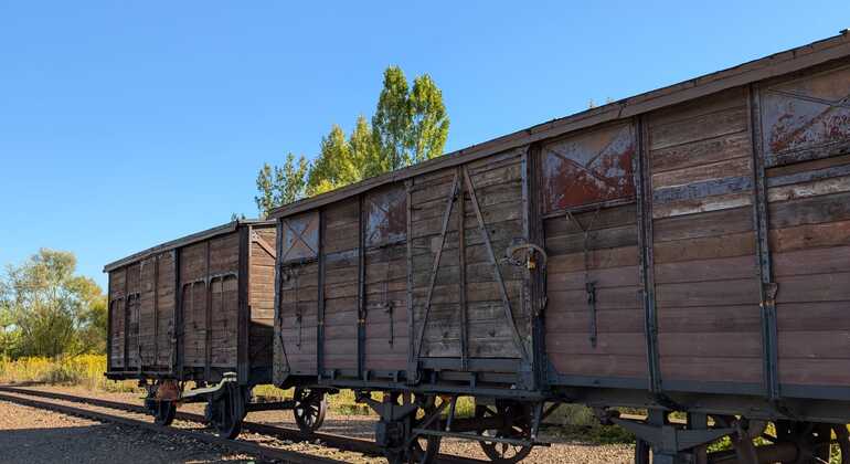 auschwitz-birkenau-monowitz-outdoor-history-guided-tour-es-4