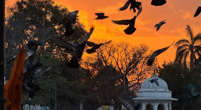 udaipur-sunset-nature-free-walking-tour-lakes-hidden-viewpoints-es-1