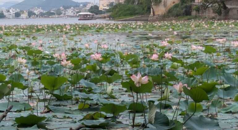 udaipur-open-jeep-village-tour-for-local-culture-rural-experience-en-3