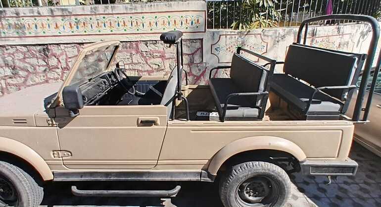 udaipur-open-jeep-village-tour-for-local-culture-rural-experience-en-5