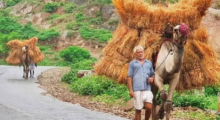 udaipur-open-jeep-village-tour-for-local-culture-rural-experience-en-6