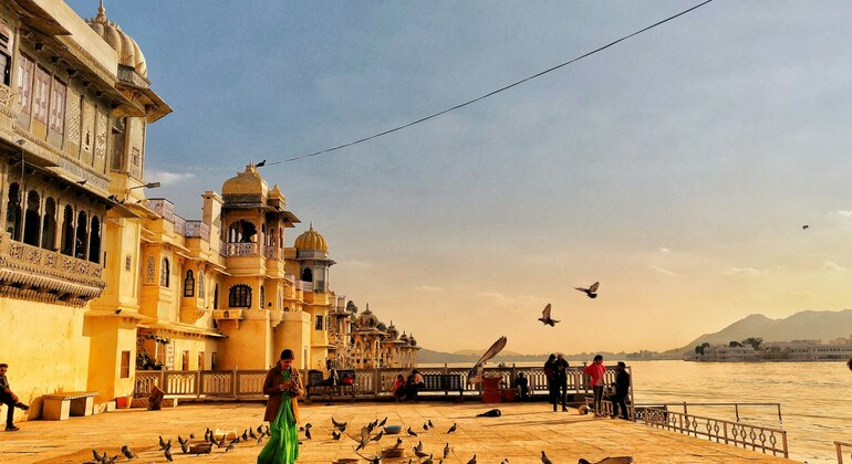private-udaipur-city-tour-by-car-with-local-driver-en-1