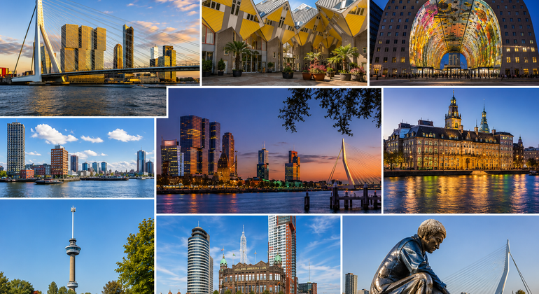 Rotterdam Must-see Attractions Walking Tour