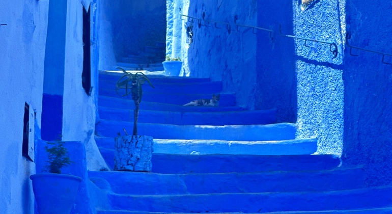 Chefchaouen authentique : visite gratuite de l'essence de la Perle Bleue Maroc &mdash; #6