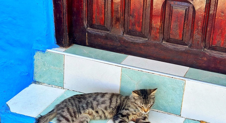 Chefchaouen authentique : visite gratuite de l'essence de la Perle Bleue Maroc &mdash; #24