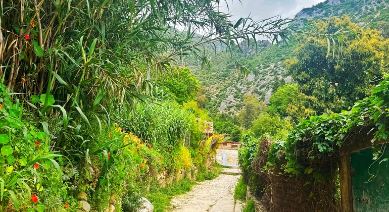Chefchaouen authentique : visite gratuite de l'essence de la Perle Bleue Maroc &mdash; #45