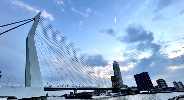 Rotterdam Bike Tour Provided by Kseniya