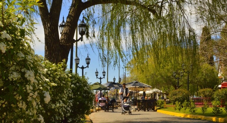 Magia del Delta: Belle Époque, el mercado y los secretos de Tigre Operado por RMT Cultural Crossings