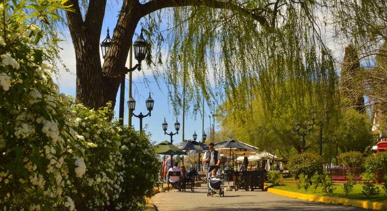 Magia del Delta: Belle Époque, el mercado y los secretos de Tigre