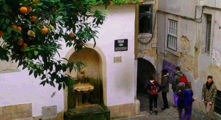Free Tour de Alfama y Ciudad Vieja Portugal &mdash; #7