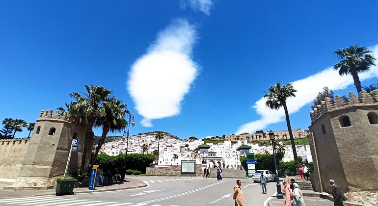 Tetouan Free Tour: Masterclass of History, Jewels & Local Secrets Morocco &mdash; #21
