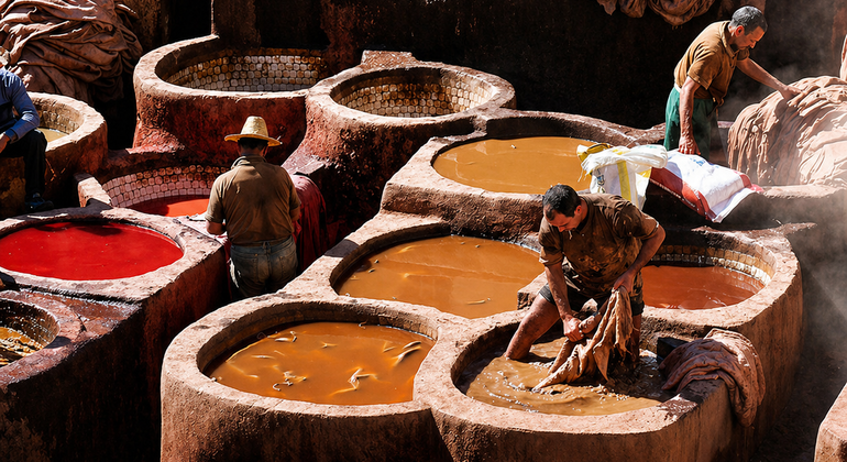 Tetouan Free Tour: Masterclass of History, Jewels & Local Secrets Morocco &mdash; #35