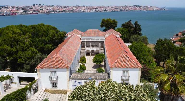 visit-lisbon-south-bay-with-a-local-free-walking-tour-and-ferry-ride-es-3