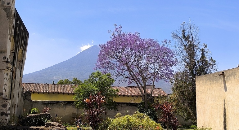 Guatemala Deep-Dive History & Ruins Tour Guatemala &mdash; #10
