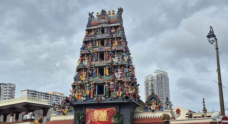 Paseo gratuito por Chinatown: Los secretos de los callejones Singapur &mdash; #6