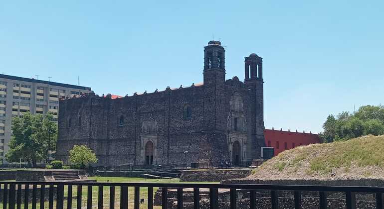 Tlatelolco, El Chopo, Santa Maria La Ribera & Thalias Haus 