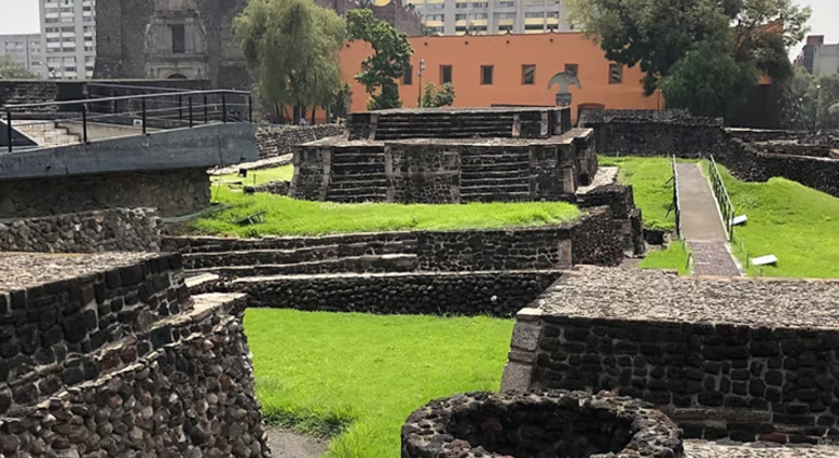Tlatelolco, El Chopo, Santa María La Ribera e visita guidata alla casa di Thalia Messico &mdash; #6