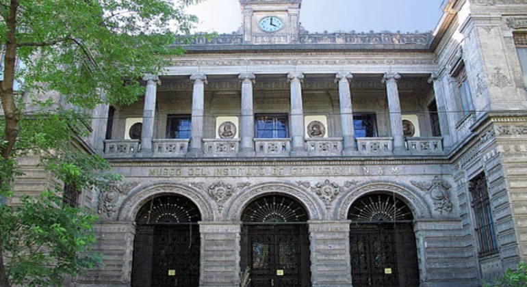 Tlatelolco, El Chopo, Santa María La Ribera e visita guidata alla casa di Thalia Messico &mdash; #13