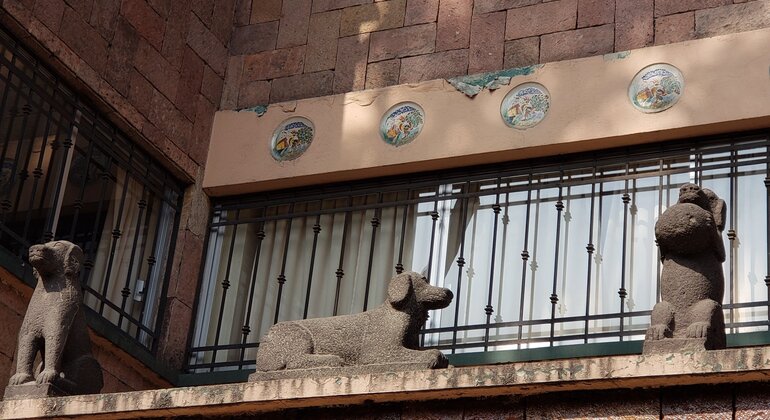 Tlatelolco, El Chopo, Santa María La Ribera e visita guidata alla casa di Thalia Messico &mdash; #15