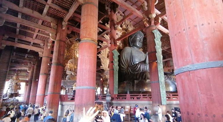 Mystische Touren zu den Nara-Tempeln Japan &mdash; #5