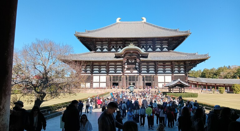 Mystische Touren zu den Nara-Tempeln Japan &mdash; #6