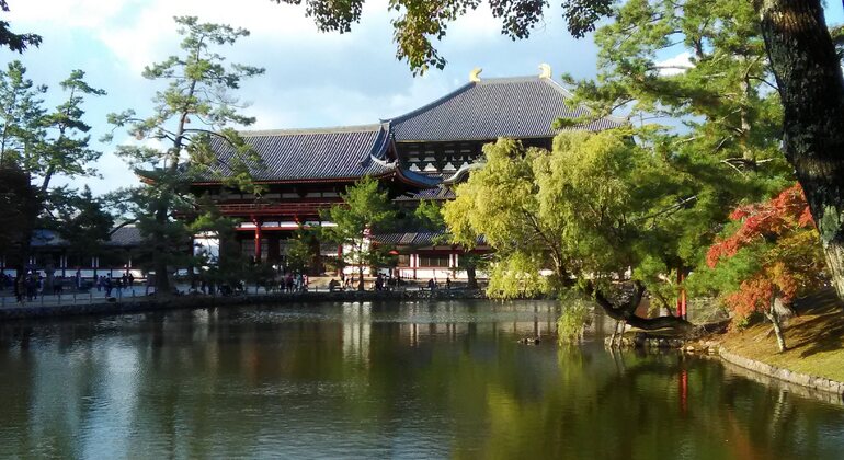Mystische Touren zu den Nara-Tempeln Japan &mdash; #9