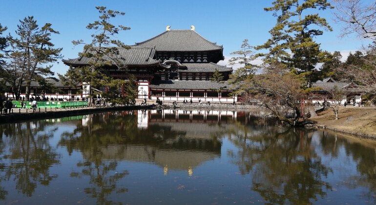 Mystische Touren zu den Nara-Tempeln Japan &mdash; #10