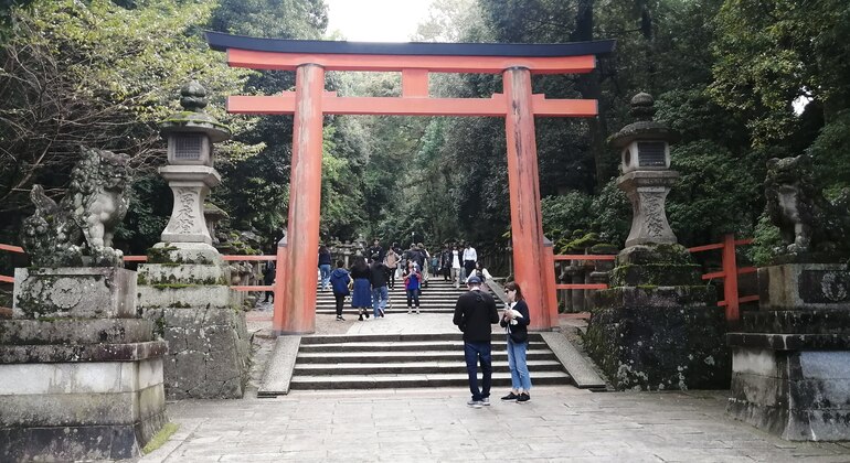 Mystische Touren zu den Nara-Tempeln Japan &mdash; #17