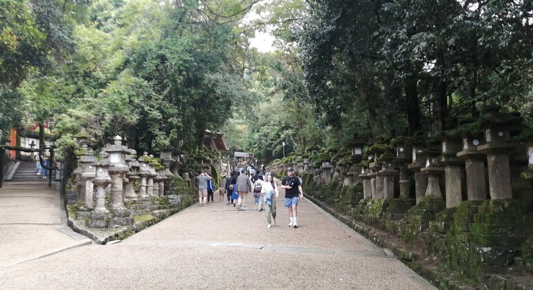 Mystische Touren zu den Nara-Tempeln Japan &mdash; #18