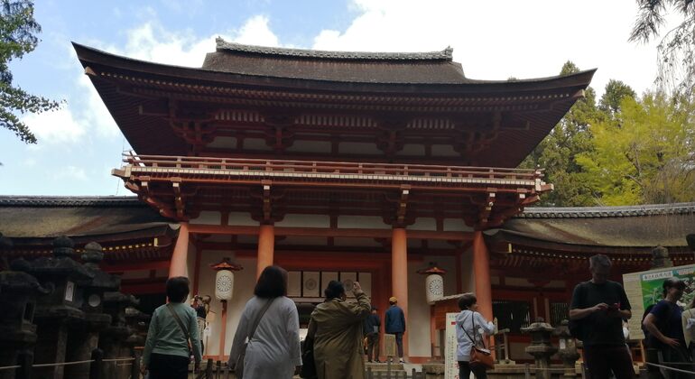 Mystische Touren zu den Nara-Tempeln Japan &mdash; #19