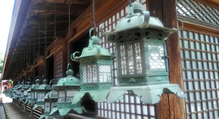 Mystische Touren zu den Nara-Tempeln Japan &mdash; #21
