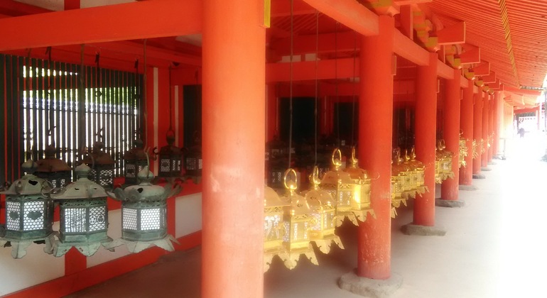 Mystische Touren zu den Nara-Tempeln Japan &mdash; #22