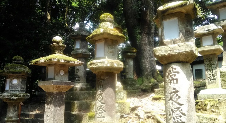 Mystische Touren zu den Nara-Tempeln Japan &mdash; #23