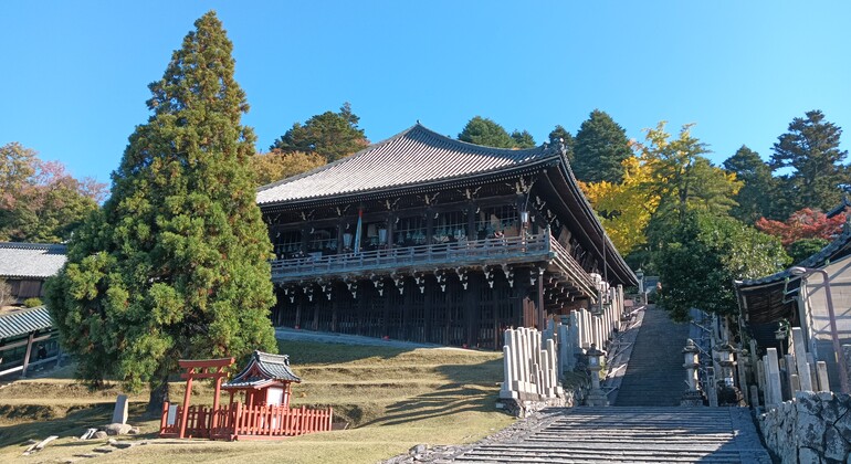 Mystische Touren zu den Nara-Tempeln Japan &mdash; #24