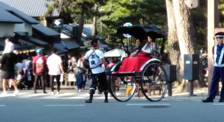 Mystische Touren zu den Nara-Tempeln Japan &mdash; #28