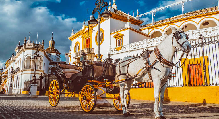 Self-Guide Audio App: Sevilla Stadtrundfahrt Spanien &mdash; #5
