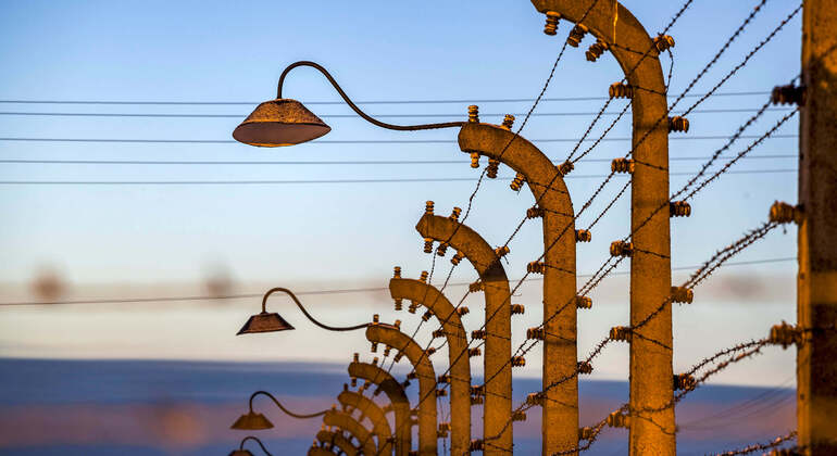 Self-Guide App: Oswiecim, Auschwitz-Birkenau Museum Tour (no ticket) Poland &mdash; #5