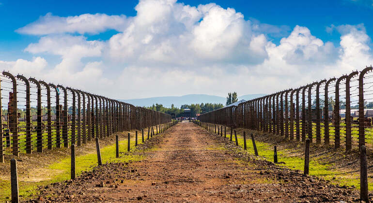 Self-Guide App: Oswiecim, Auschwitz-Birkenau Museum Tour (no ticket) Poland &mdash; #9