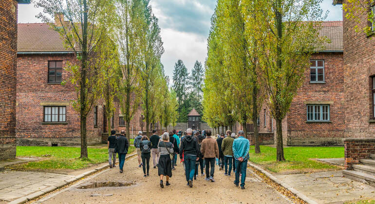 Self-Guide App: Oswiecim, Auschwitz-Birkenau Museum Tour (no ticket) Poland &mdash; #11