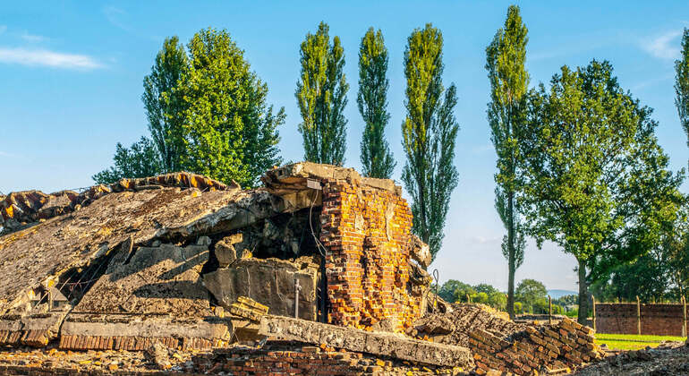 Self-Guide App: Oswiecim, Auschwitz-Birkenau Museum Tour (no ticket) Poland &mdash; #13