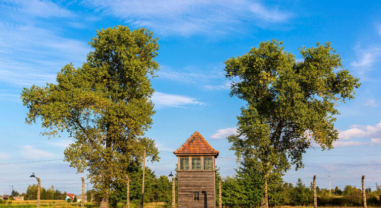 Self-Guide App: Oswiecim, Auschwitz-Birkenau Museum Tour (no ticket) Poland &mdash; #14
