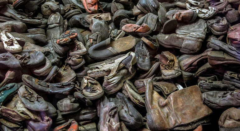 Self-Guide App: Oswiecim, Auschwitz-Birkenau Museum Tour (no ticket) Poland &mdash; #16