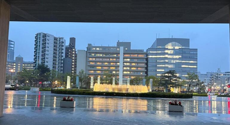 Hiroshima: Free Tour tras los Pasos de Historia Japón &mdash; #3