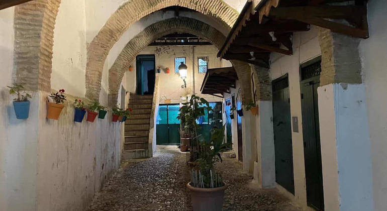 Medina Express Tour: The Best of Tetouan Under the Stars Morocco &mdash; #2