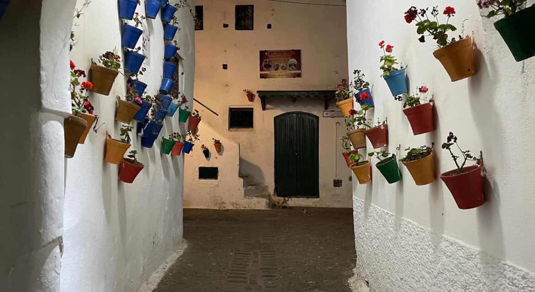 Medina Express Tour: The Best of Tetouan Under the Stars Morocco &mdash; #10