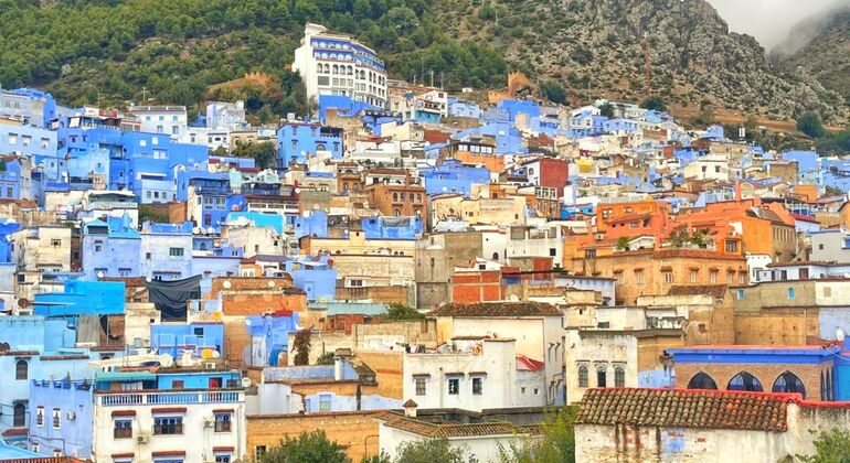 Chefchaouen Blue Route Tour: Secrets of the Medina & Hidden Passages  Morocco &mdash; #5