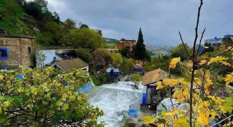 Chefchaouen Blue Route Tour: Secrets of the Medina & Hidden Passages  Morocco &mdash; #25